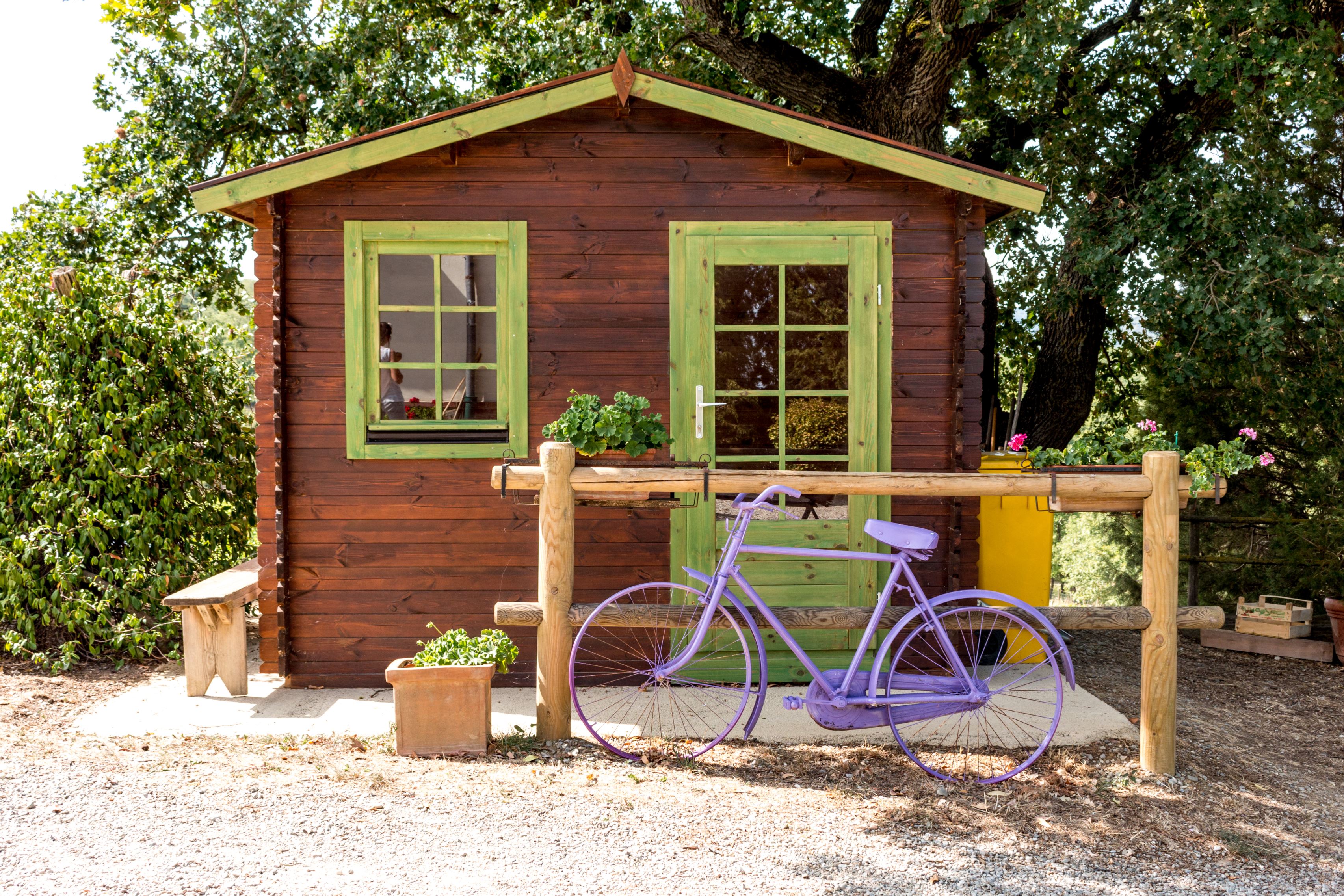 purple bike
